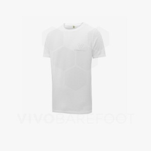 Camiseta Vivobarefoot Rapanui Hombre Blancos | MX276WH