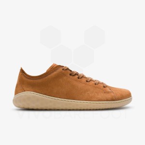 Tenis Lifestyle Vivobarefoot Geo Court III Mujer Marrom | MX148UK