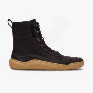 Tenis Lifestyle Vivobarefoot Gobi Boot Hombre Negros | MX320EI