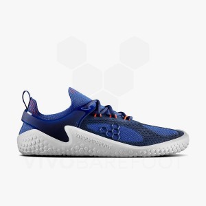 Tenis Para Correr En Carretera Vivobarefoot Motus Strength Hombre Azules Azul Marino Naranjas | MX397FU