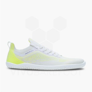 Tenis Para Correr En Carretera Vivobarefoot Primus Lite Knit Hombre Amarillos | MX387PV