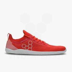 Tenis Training Vivobarefoot Primus Lite Knit Hombre Rojos | MX340KW