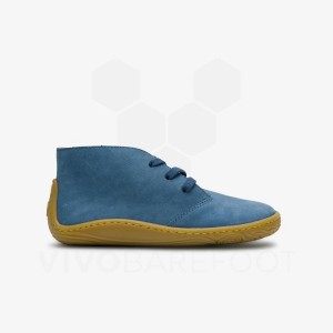 Zapatos Vivobarefoot Gobi Addis Niños Azules | MX014YF