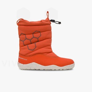 Zapatos Vivobarefoot Lumi FG Niños Rosas | MX042WH