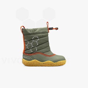 Zapatos Vivobarefoot Lumi FG Toddler Niños Verdes | MX037BA