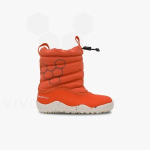 Zapatos Vivobarefoot Lumi FG Toddler Niños Rosas | MX036CP