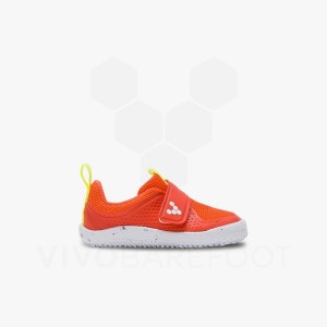 Zapatos Vivobarefoot Primus Deporte III Toddler Niños Rosas | MX069VJ