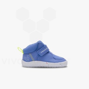 Zapatos Vivobarefoot Primus Ludo Hi Toddler Niños Azules | MX033FU