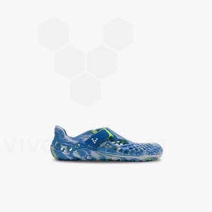 Zapatos Vivobarefoot Ultra Bloom Preschool Niños Azules Turquesa Claro | MX050OB