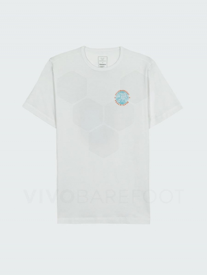 Camiseta Vivobarefoot Finisterre Hombre Blancos | MX286MM