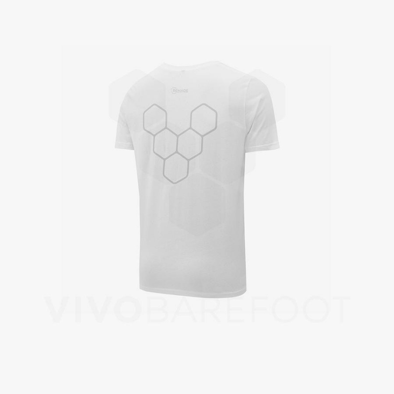 Camiseta Vivobarefoot Rapanui Mujer Blancos | MX095VJ