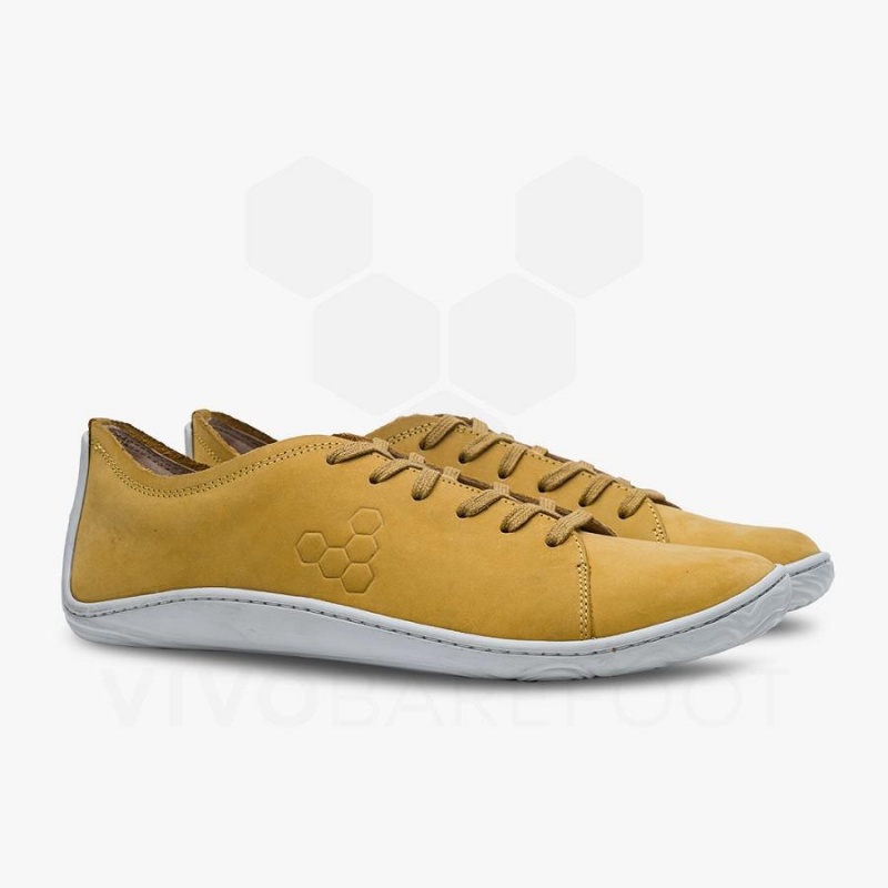 Tenis Lifestyle Vivobarefoot Addis Hombre Moutarde | MX311NN