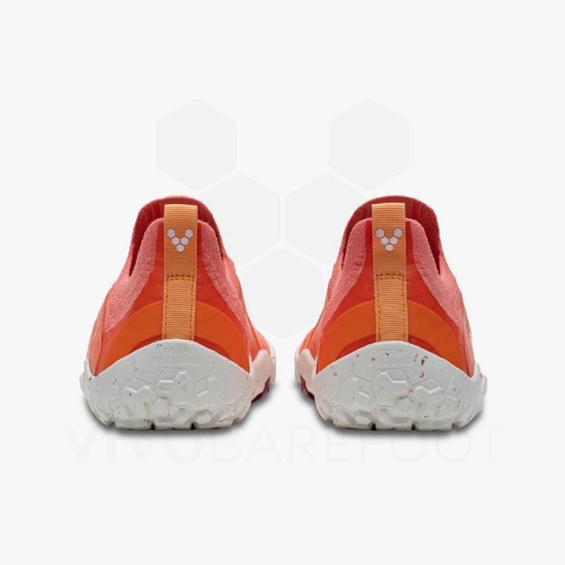 Tenis Trail Running Vivobarefoot Primus Trail Knit FG Mujer Rojos | MX201TL