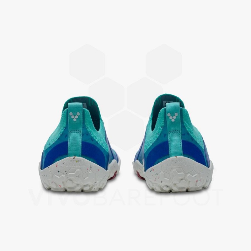 Tenis Trail Running Vivobarefoot Primus Trail Knit FG Mujer Azules | MX200UK