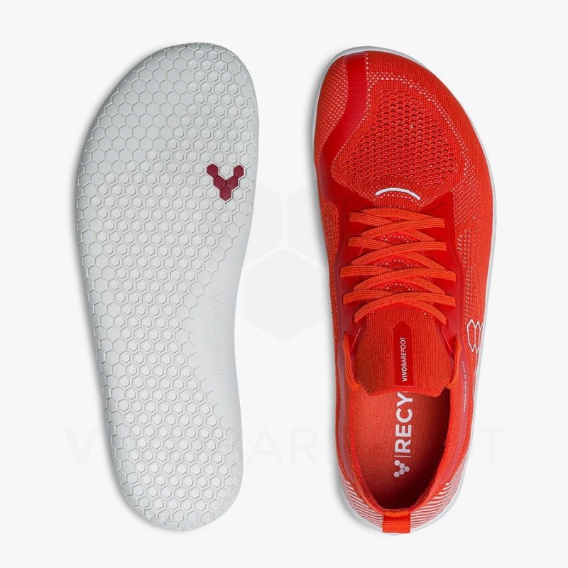 Tenis Training Vivobarefoot Primus Lite Knit Hombre Rojos | MX340KW