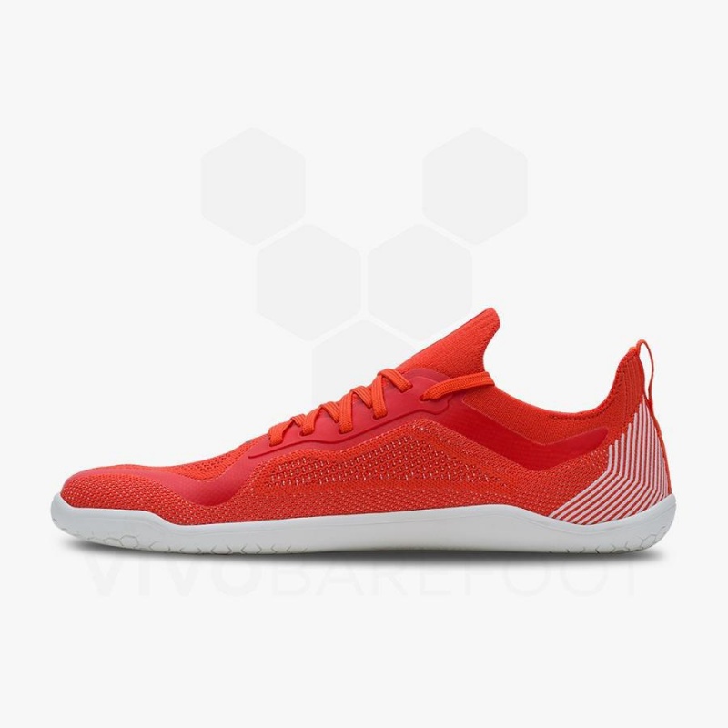 Tenis Training Vivobarefoot Primus Lite Knit Hombre Rojos | MX340KW