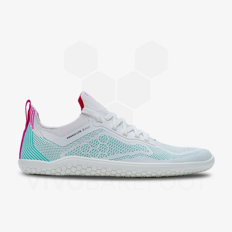 Tenis Training Vivobarefoot Primus Lite Knit Hombre Azules | MX342IR