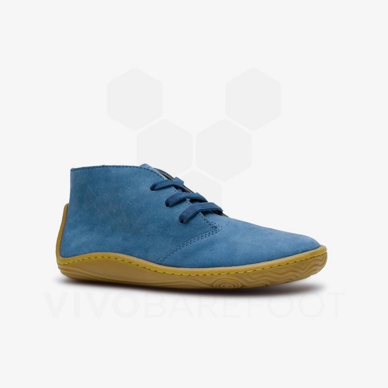 Zapatos Vivobarefoot Gobi Addis Niños Azules | MX011BA