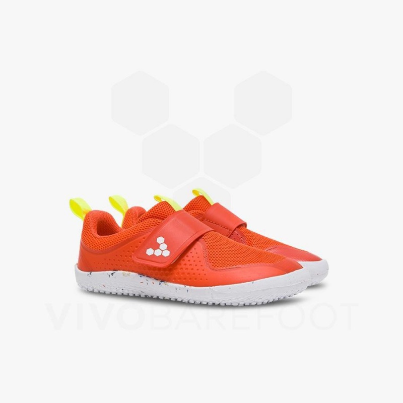 Zapatos Vivobarefoot Primus Deporte III Niños Rosas | MX077NN