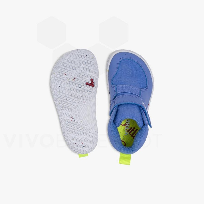 Zapatos Vivobarefoot Primus Ludo Hi Toddler Niños Azules | MX033FU