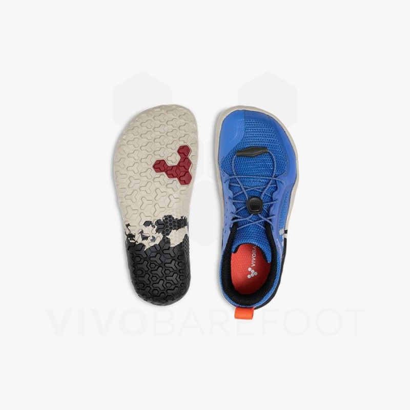 Zapatos Vivobarefoot Primus Trail II FG Preschool Niños Azules | MX088CP